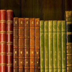 Игра "Какой ты жанр литературы?"