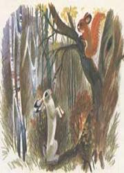 Сказка "Как Белка и Заяц друг друга не узнали"